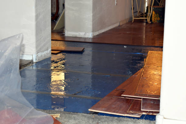 Professional Basement Water Removal technician working in Clare, IL